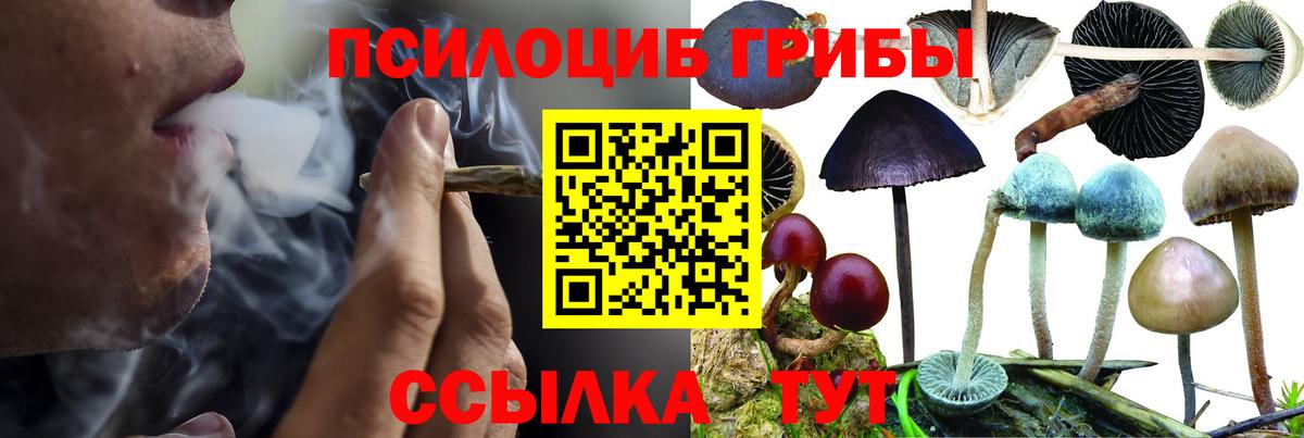 Галлюциногенные грибы Psilocybe  Псилоцибиновые грибы GOLDEN TEACHER  Вход с VPN  Новочеркасск 